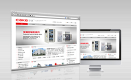 上海彩康電子有限公司網站設計案例