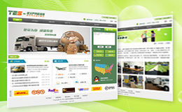 美國越洋快運公司網站設計案例